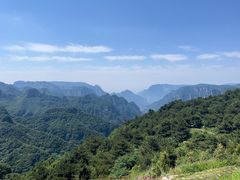 -王莽岭风景区