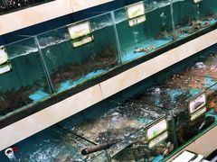 水产区-秋姐美食店(旅游大道店)