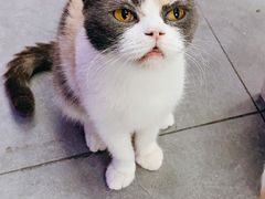 -极木²邸 人与宠物·互动社区