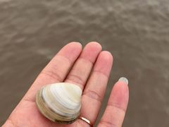 -启东黄金海滩景区