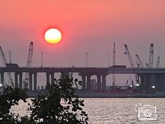 -宝安西湾红树林湿地公园