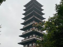 -宜兴龙背山森林公园