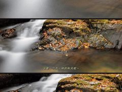 -关门山森林公园