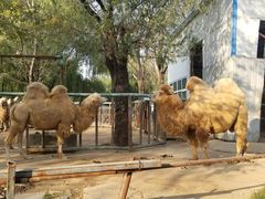 -祥源·阜阳生态乐园