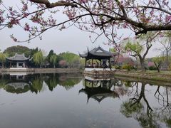 -无锡蠡湖国家湿地公园-蠡园