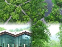 -西湖风景区-江洋畈生态公园