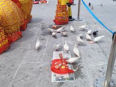 -悦城龙母祖庙