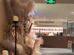 -生如夏花泰式火锅(西村黑金店)