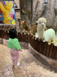 点击看大图 -宝燕乐园(闵行旗舰店)