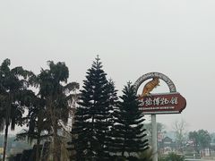 -自贡恐龙博物馆