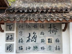 -杭州植物园
