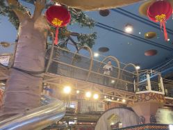 -卡通尼·Safari非洲探索乐园·生日会(金桥国际商业广场店)