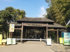 -九龙潭景区