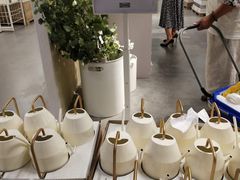 -宜家家居(哈尔滨商场店)