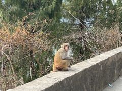 -白帝城·瞿塘峡景区