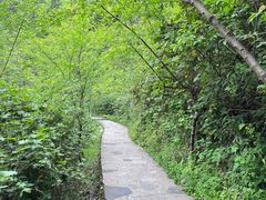 -鹿院坪生态旅游景区