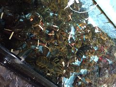 iphone_upload_pic-渔民新村(番禺总店)