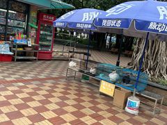 -东风公园
