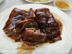 -姚林轩