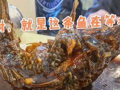 挣蹦鲤鱼-奥华餐厅·老张记(台基厂店)