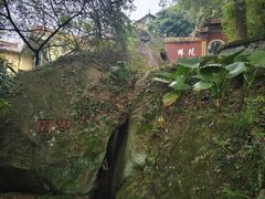 -青芝山风景名胜区