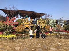 -上海长兴岛郊野公园