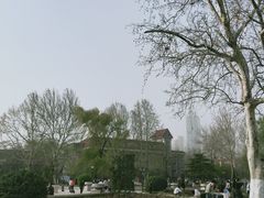 -睦南公园