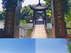 -天目湖山水园