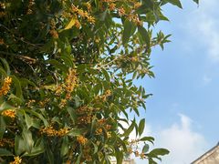 -东钱湖旅游度假区