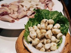 珍珠小马蹄-百年果林椰子鸡(中洲店)