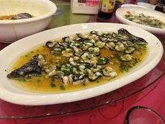 -呼吸森林·生态农庄农家乐私房菜