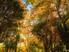 -昆明春城湖畔度假村