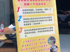 -四月宠物医院·猫专科·心脏专科·内科(转塘店)