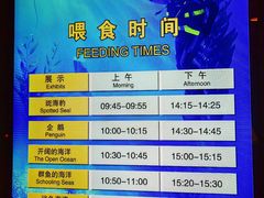 -上海海洋水族馆