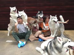 咖啡-TrueLove @ Neverland (Husky Cafe)