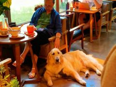 -咖法森林·咖啡  酒吧(天河店)