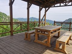 -大岭沟猕猴桃谷风景区