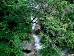 -洛阳白云山景区