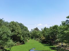 -白鹭湾湿地公园