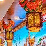 四趾为鸡 五趾为凤 在巴仟岁吃到了贡品油鸡火锅[调皮]