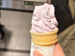 -麦当劳(大羊坊路店)