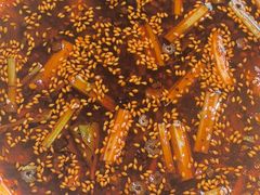 -柴门头啖汤·经典川菜·慢火汤品(锦城万达店)