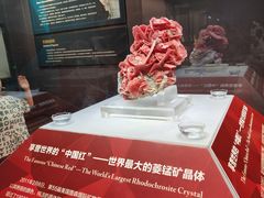 -湖南省地质博物馆