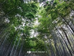 -敬亭山风景名胜区