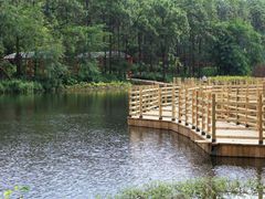 -金山植物公园