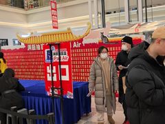 -红星美凯龙北京至尊MALL(东四环中路店)