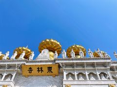 -上海东林寺(金山区)