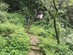 -青城山