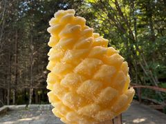 -五营红松林海景区