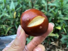 -GAONNURI加温努力(马场店)